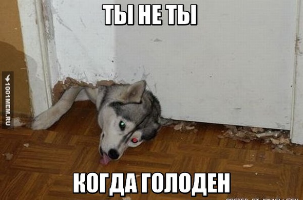 Ак Барс - Автомобилист У Бенчич опереленно какие - то проблемы. Макарова здесь темная лошадка и она вполне может