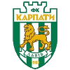 Карпаты (19)