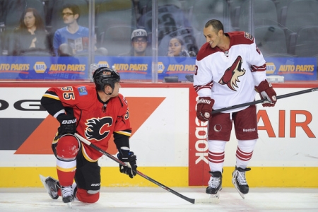 Добрый вечер всем!
Начнем с первого что я обрал это "Койоты" против