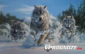 Волчья стая пошла по следу! Вчерашняя осечка Юве может позволить сократить дистанцию до двух очков.