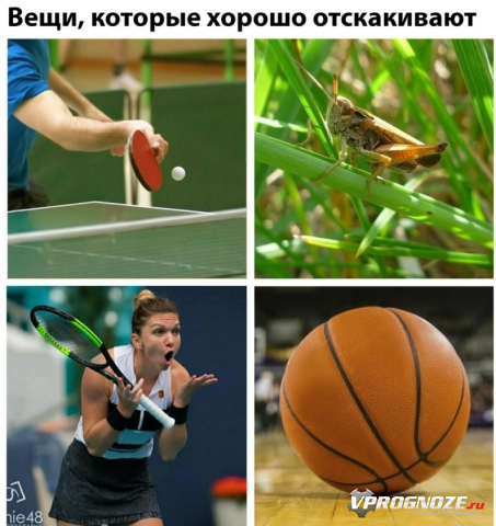 Симона Халеп - это такое чудо, чудо из чудес, яркий представитель тех вещей, которые хорошо
