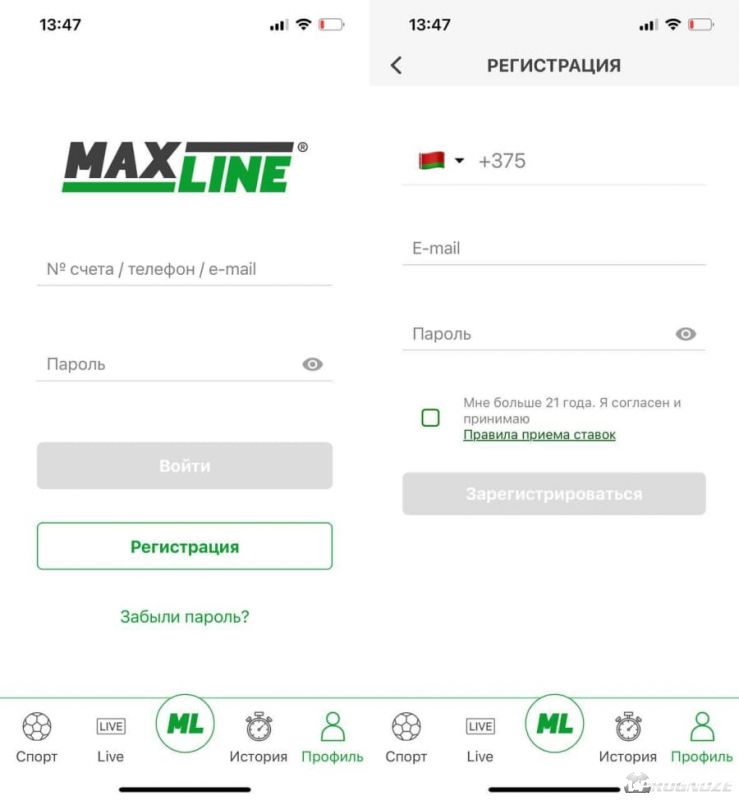 Регистрация Мобильное приложение Макслайн