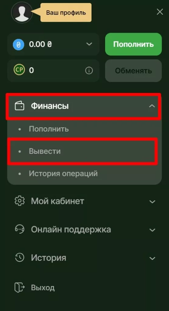 Раздел «Финансы» и кнопка «Вывести» в личном кабинете клиента Riobet